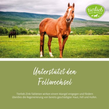 tierlieb Zink-Tabletten für Pferde 500 Tabletten