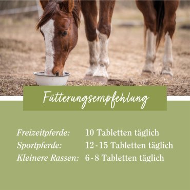 tierlieb Zink-Tabletten für Pferde 500 Tabletten
