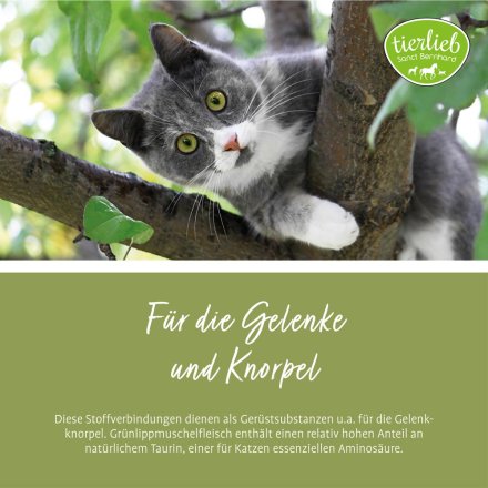 tierlieb Grünlippmuschel-Katzen-Kapseln 90 Kapseln