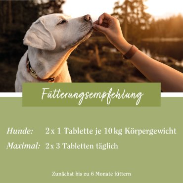 tierlieb Herz-Kreislauf-Tabletten für Hunde 180 Tabletten
