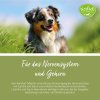 tierlieb Herz-Kreislauf-Tabletten für Hunde 180 Tabletten