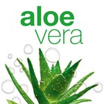 Aloe Vera Hautpflege