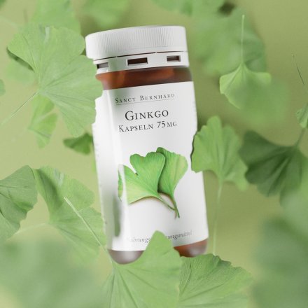 Ginkgo-Kapseln 75 mg 240 Kapseln