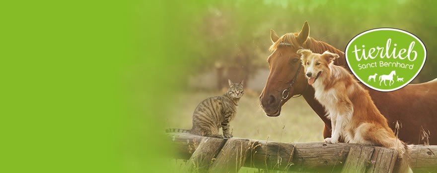 Für Tiere - tierlieb Sanct Bernhard