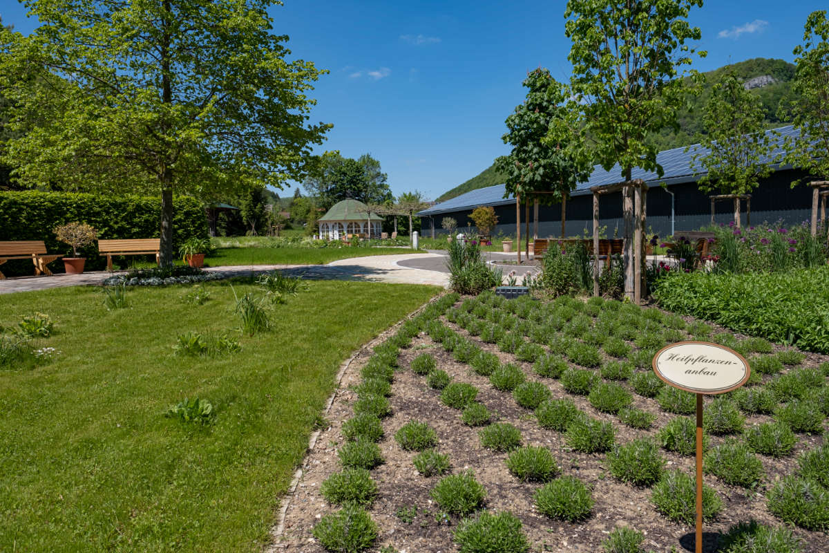 Erlebnis Kräutergarten | Kräuterhaus Sanct Bernhard
