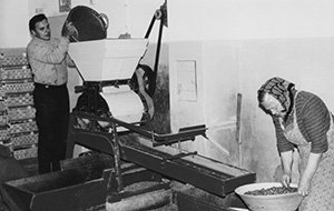 Hägenmark production