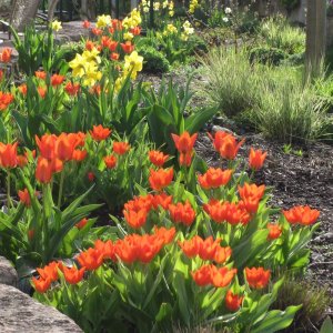 Blumenfreunde zu Besuch im Kräutergarten